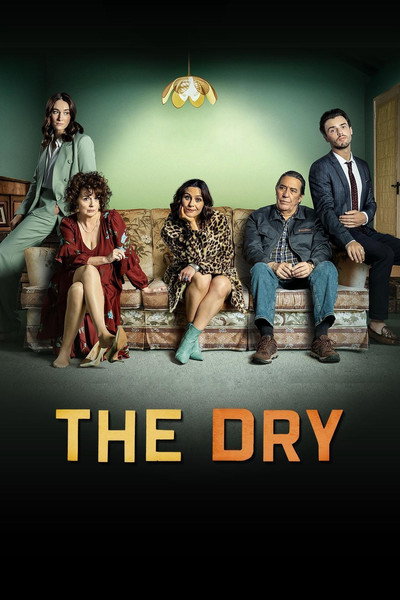 Póster de The Dry