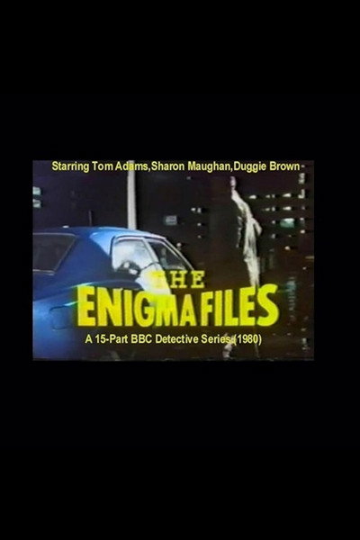 Póster de The Enigma Files