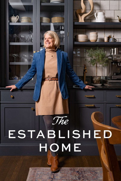 Póster de The Established Home