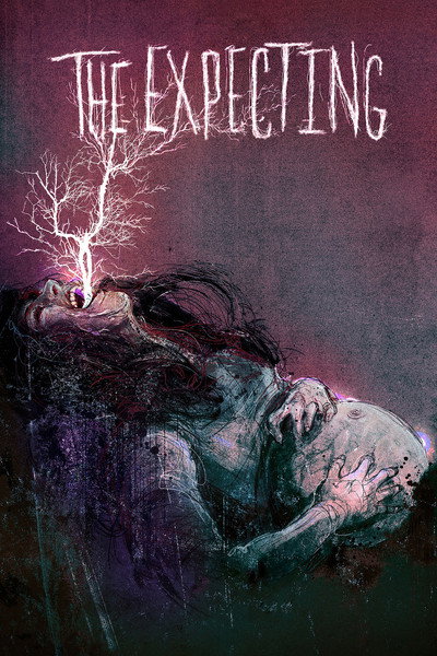 Póster de The Expecting