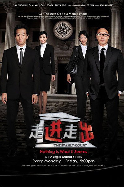 Póster de The Family Court