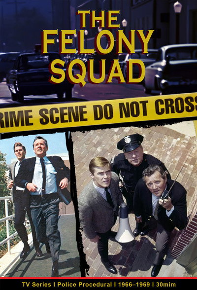 Póster de The Felony Squad