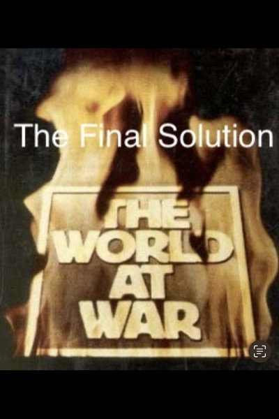 Póster de The Final Solution