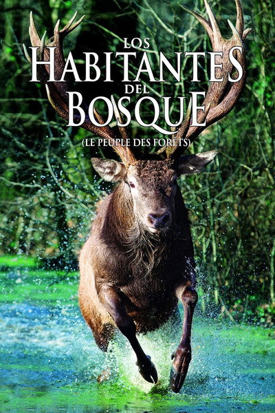 Póster de The Forest Kingdom