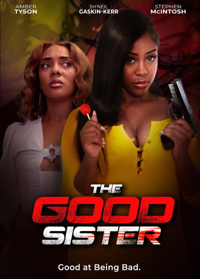 Póster de The Good Sister