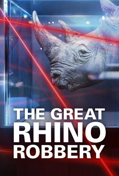 Póster de The Great Rhino Robbery