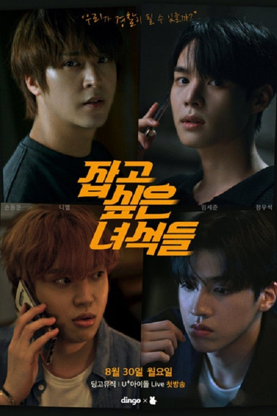 Póster de The Guys I Want to Catch