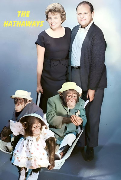 Póster de The Hathaways