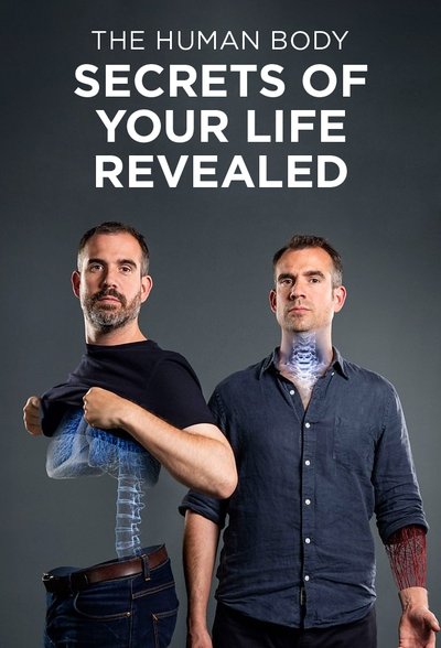 Póster de The Human Body: Secrets of Your Life Revealed