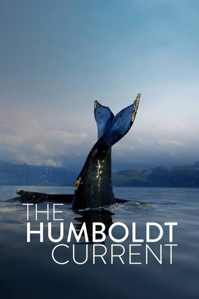 Póster de The Humboldt Current