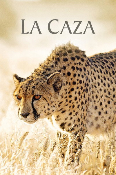 Póster de The Hunt