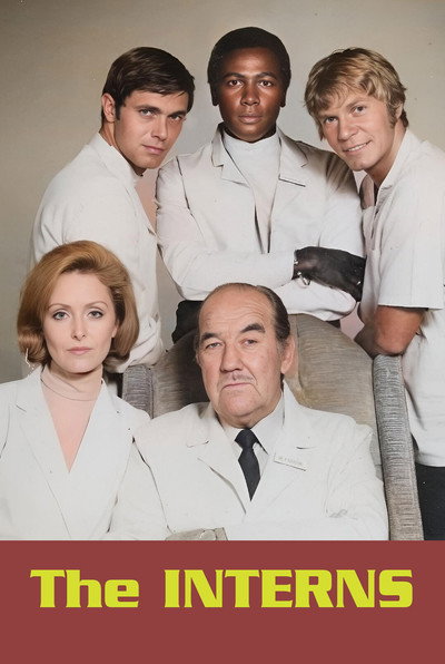 Póster de The Interns