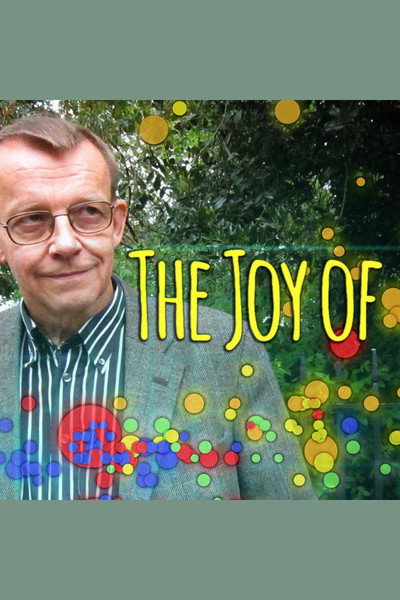 Póster de The Joy Of