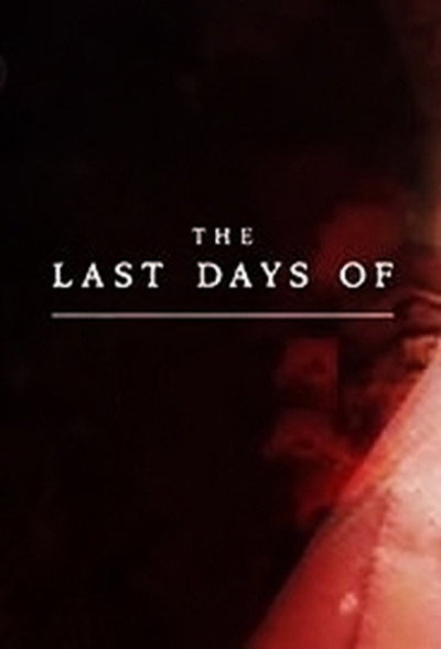 Póster de The Last Days Of ...