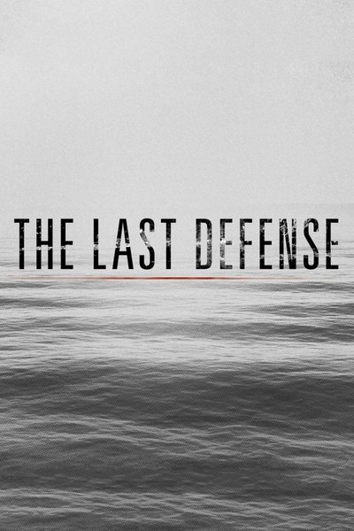 Póster de The Last Defense