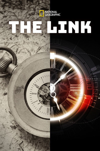 Póster de The Link
