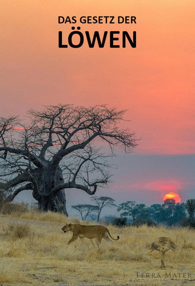 Póster de The Lions Rule