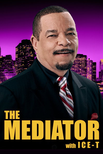 Póster de The Mediator
