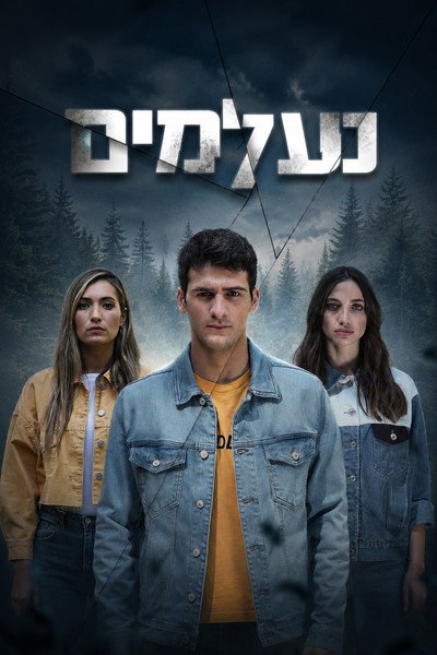 Póster de The Missing