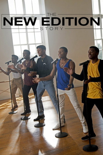 Póster de The New Edition Story