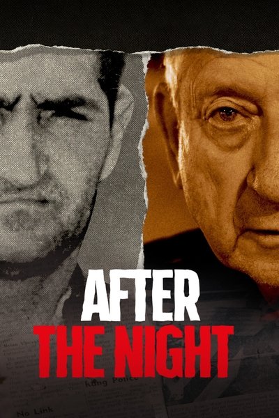 Póster de The Night Caller