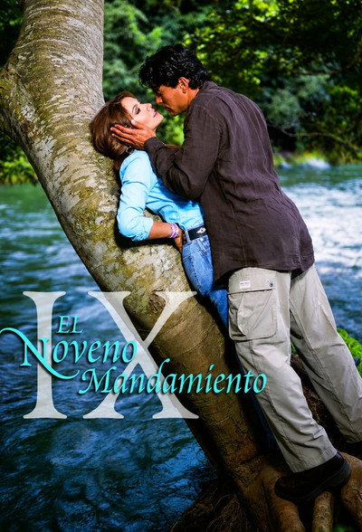 Póster de The Ninth Commandment