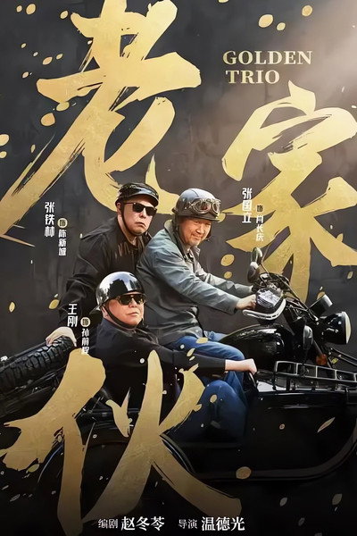 Póster de The Old Boys