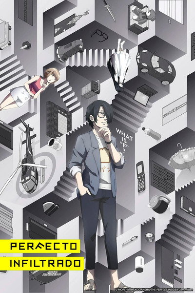 Póster de The Perfect Insider