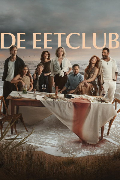 Póster de The Perfect Lie