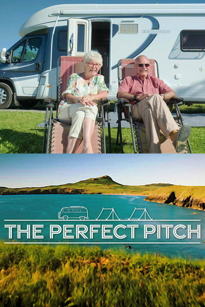Póster de The Perfect Pitch
