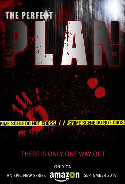 Póster de The Perfect Plan