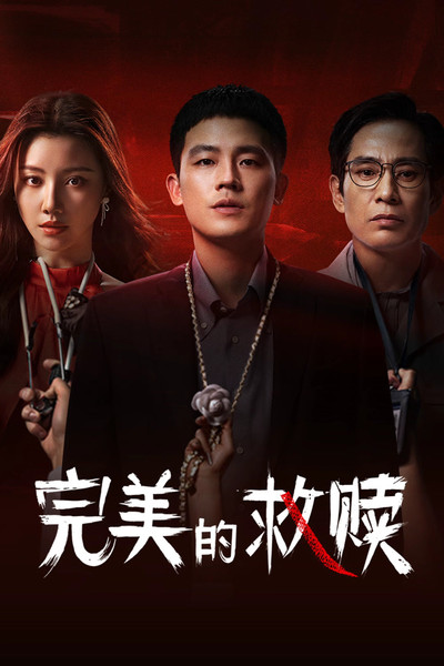 Póster de The Perfect Suspect