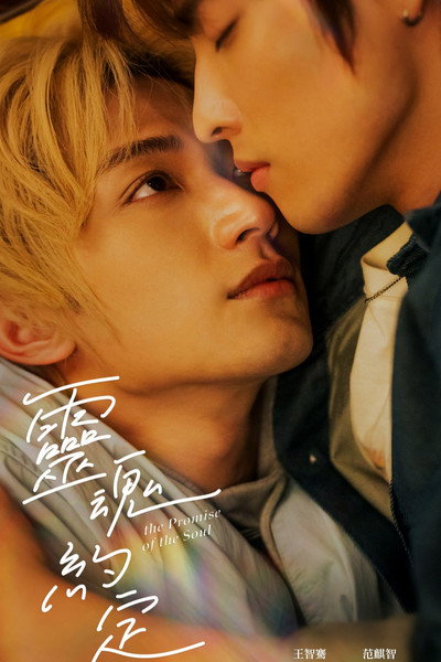 Póster de The Promise of the Soul