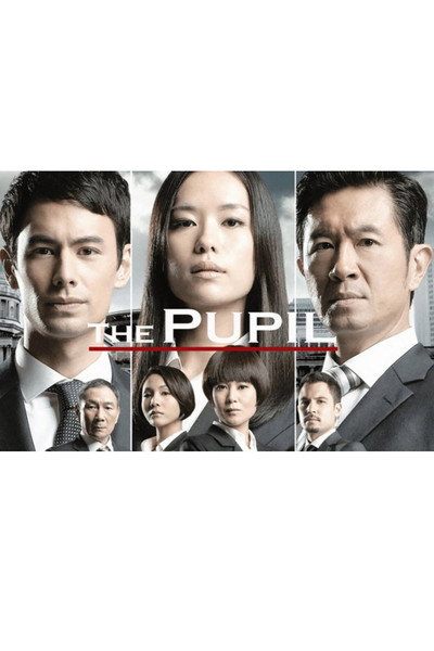 Póster de The Pupil