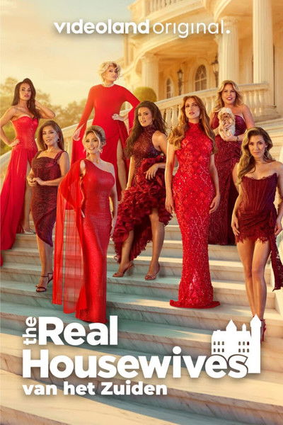 Póster de The Real Housewives van het Zuiden