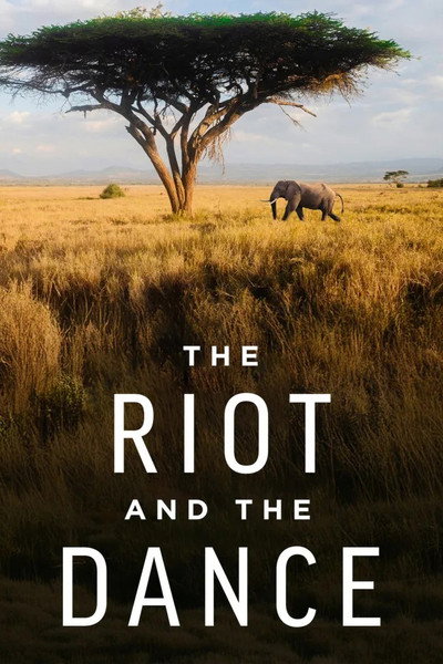 Póster de The Riot and the Dance