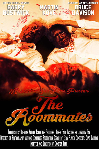 Póster de The Roommates