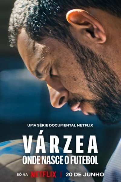 Póster de The Root of the Game