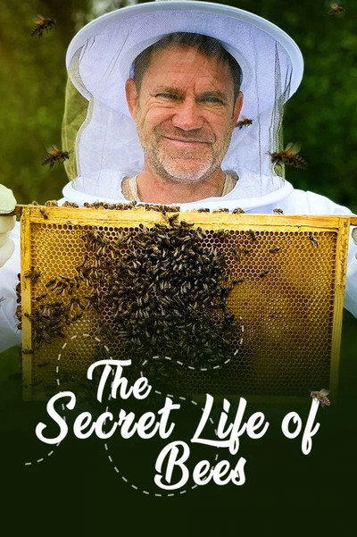 Póster de The Secret Life of Bees