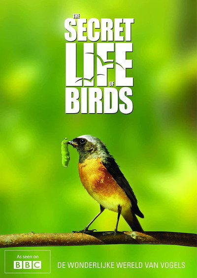 Póster de The Secret Life of Birds