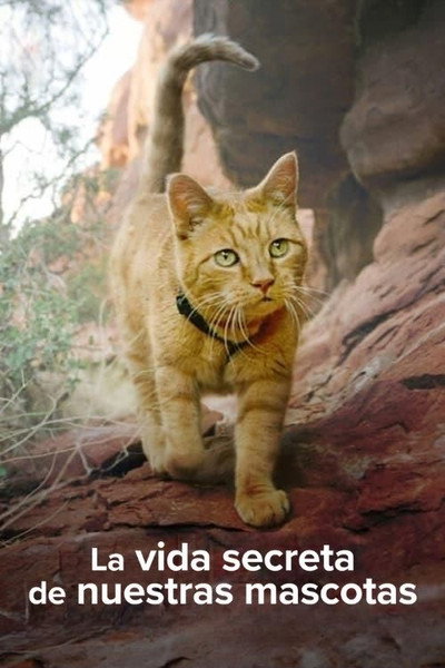 Póster de The Secret Life of Our Pets