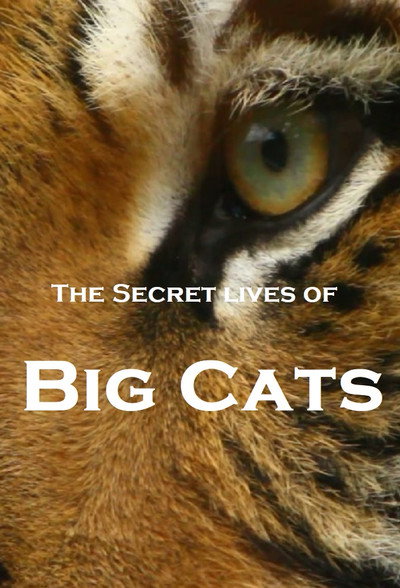 Póster de The Secret Lives of Big Cats