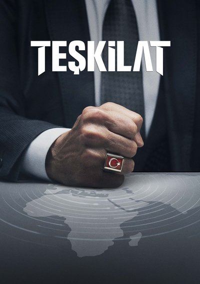 Póster de The Shadow Team
