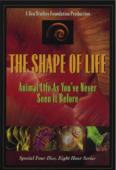 Póster de The Shape of Life