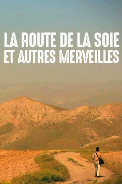 Póster de The Silk Road