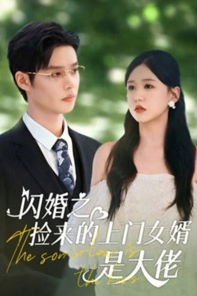 Póster de The Son-in-law Is the Boss