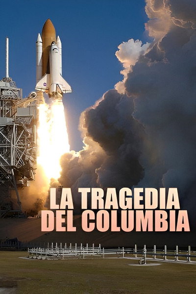 Póster de The Space Shuttle That Fell to Earth