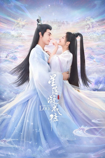 Póster de The Starry Love