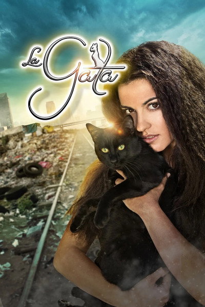 Póster de The Stray Cat