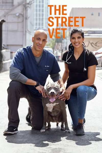 Póster de The Street Vet